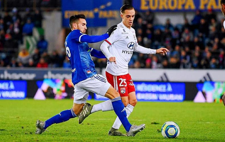 默里34分约基奇准三双，掘金末节发力击退黄蜂