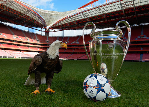 足球联赛赛季最佳射手候选名单揭晓（本赛季联赛金靴候选名单出炉）